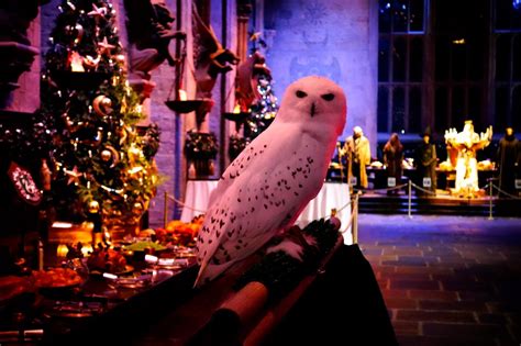 christmas harry potter background|hogwarts christmas background.